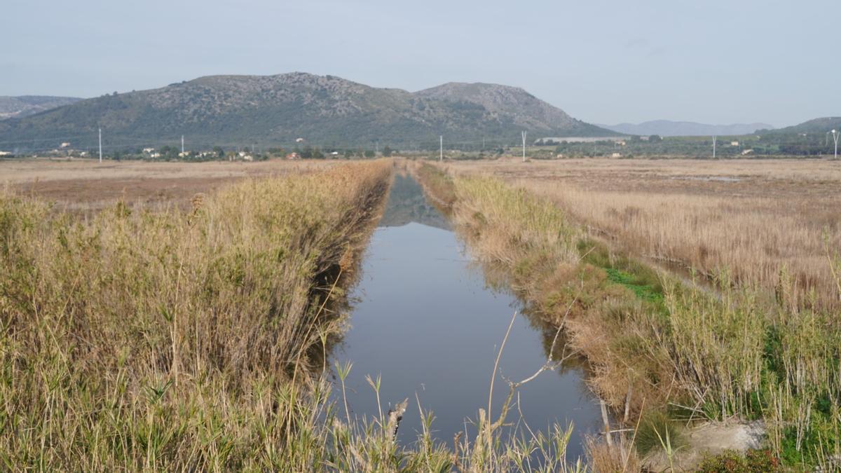 S&#039;Albufera.