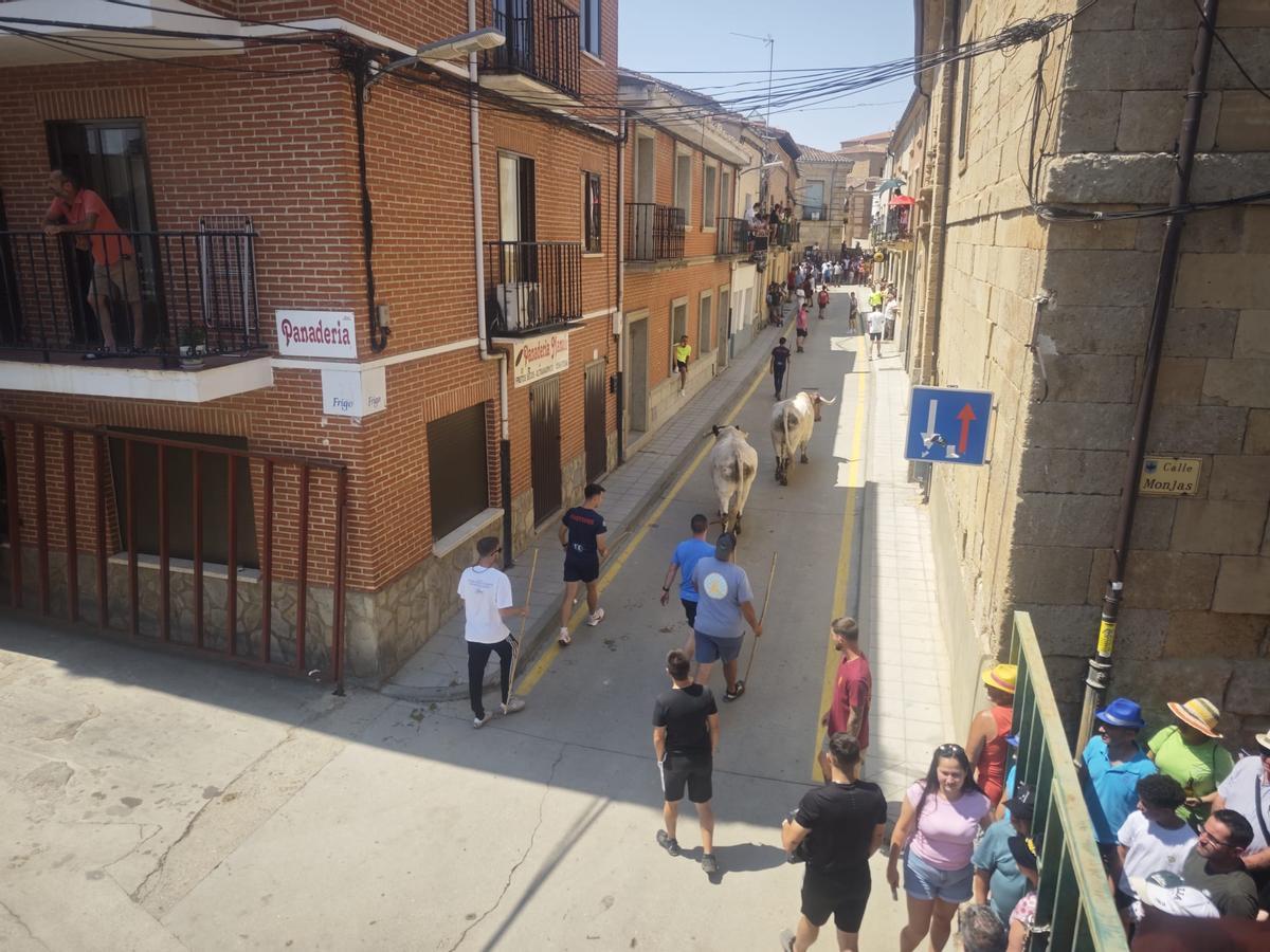 GALERÍA | Fuentesaúco vibra con un tercer espante en sus fiestas
