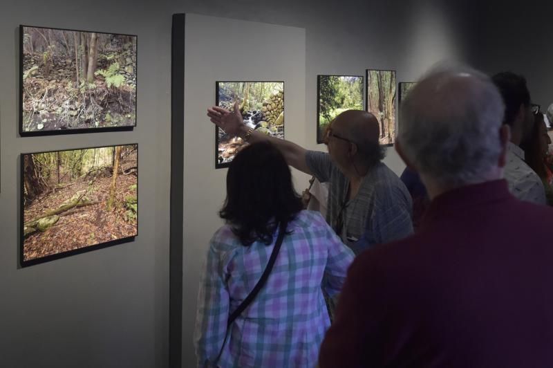 Presentación de libro y exposición sobre la lauris