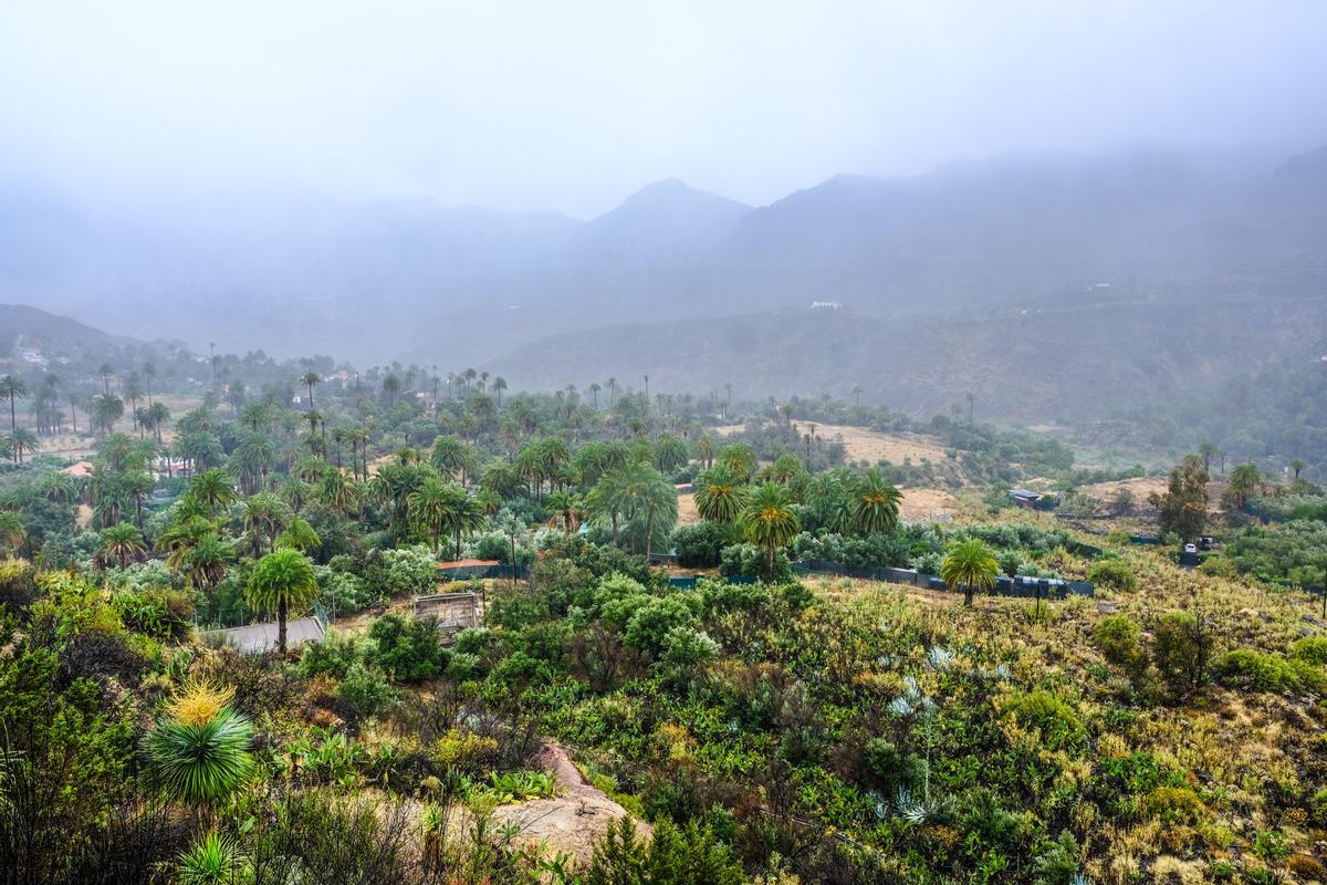 Las lluvias de la borrasca Óscar en Santa Lucía y San Bartolomé de Tirajana