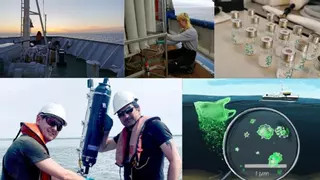 Los nanoplásticos están invadiendo el Océano Atlántico