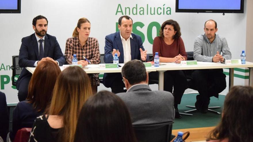 Ruiz Espejo, en el centro, durante la rueda de prensa.