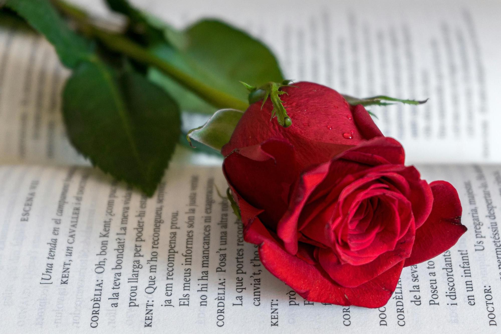 La tradición manda regalar un libro y una rosa cada 23 de abril
