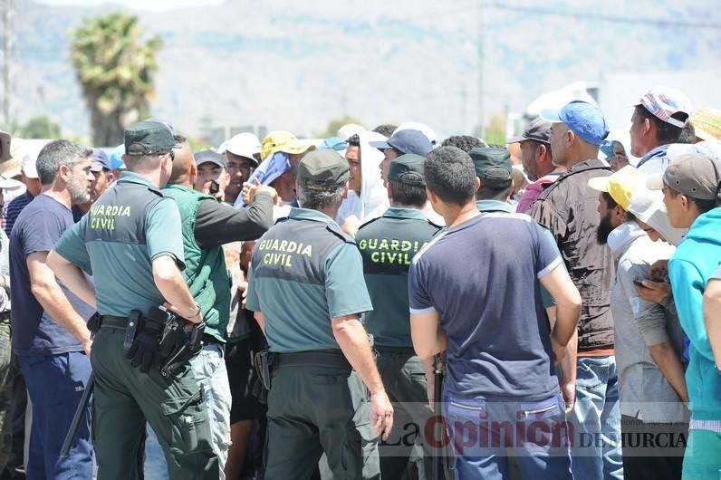 Protesta hortofrutícola en una empresa de El Raal