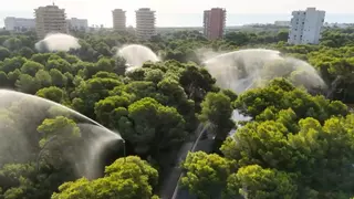 València activa los cañones del Saler ante el riesgo extremo de incendios