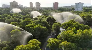 València activa els canons del Saler davant del risc extrem d’incendis