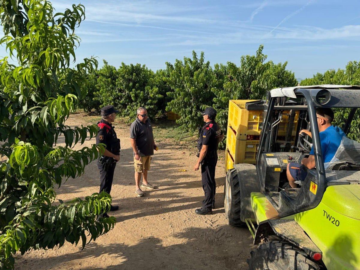 Los Mossos patrullando en zonas rurales