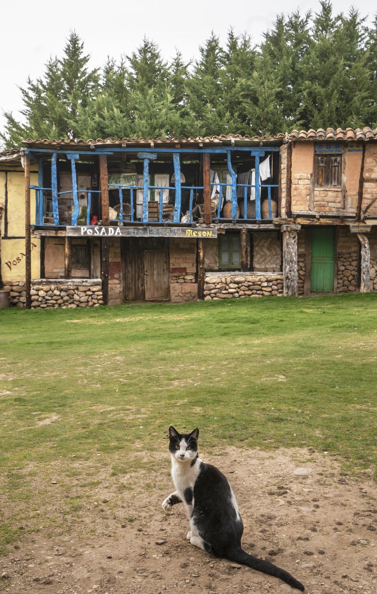 Territorio Artlanza.