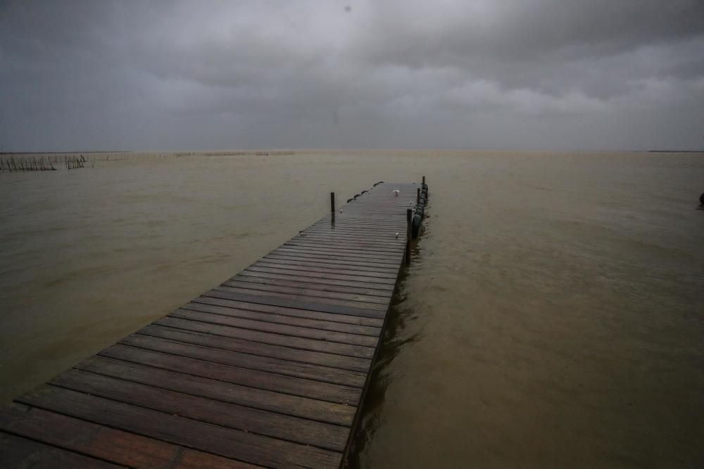 Efectos de la borrasca en El perellonet