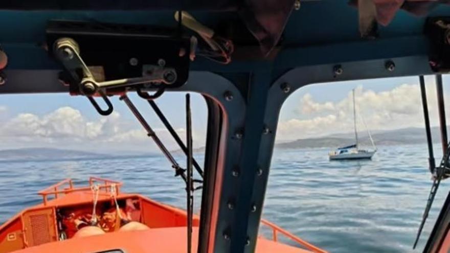 Los ataques de orcas llegan a la ría de Vigo: segundo incidente en 24 horas en las costas gallegas, dañando a un velero con dos tripulantes