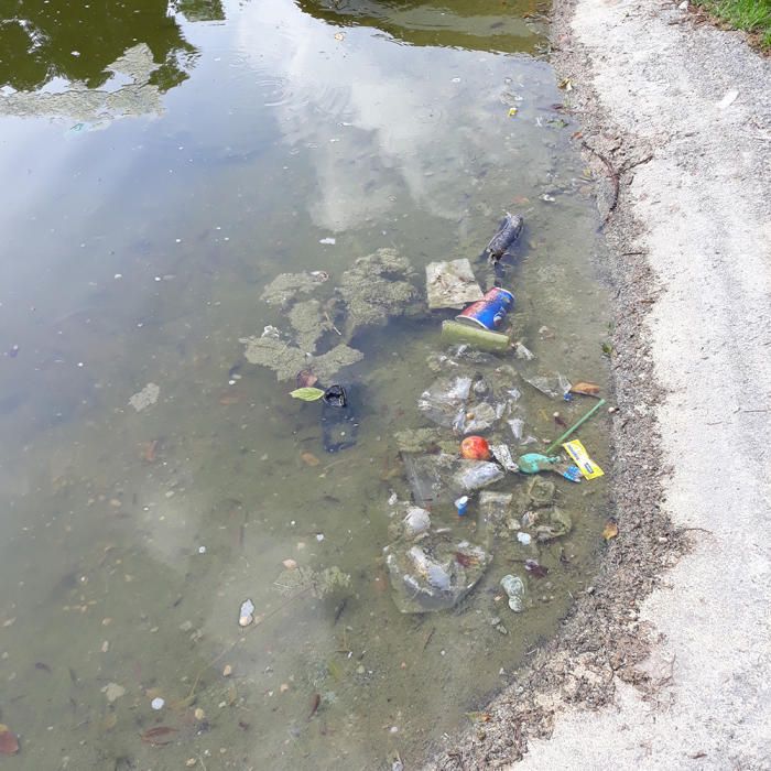 Basura y animales muertos en el Parque de la Paz