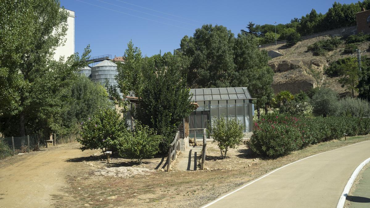 El invernadero del Prado de las Pavas ha sido una de las infraestructuras afectadas por estos robos.