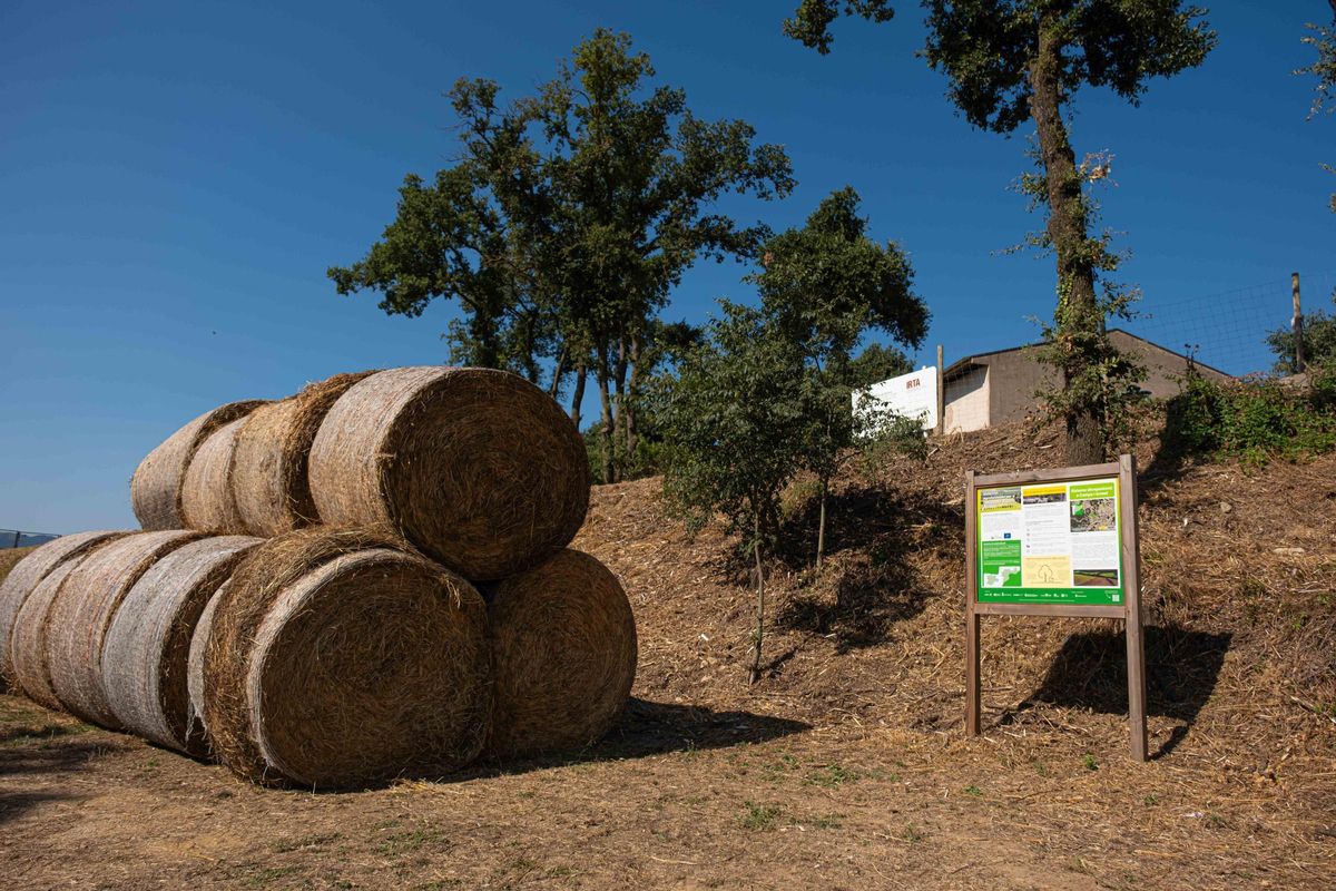 Un dels punts de la ruta sobre gestió agrofrestal a Monells.