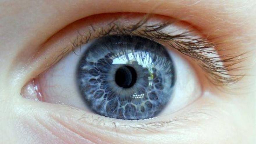 Las personas con ojos azules tiene más riesgo de ser alcohólicos