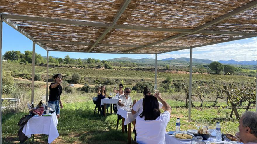 Enoturismo en el corazón de Castellón