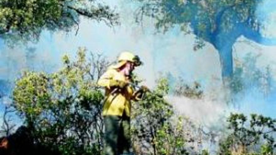 La región está en peligro alto de incendios forestales desde hoy