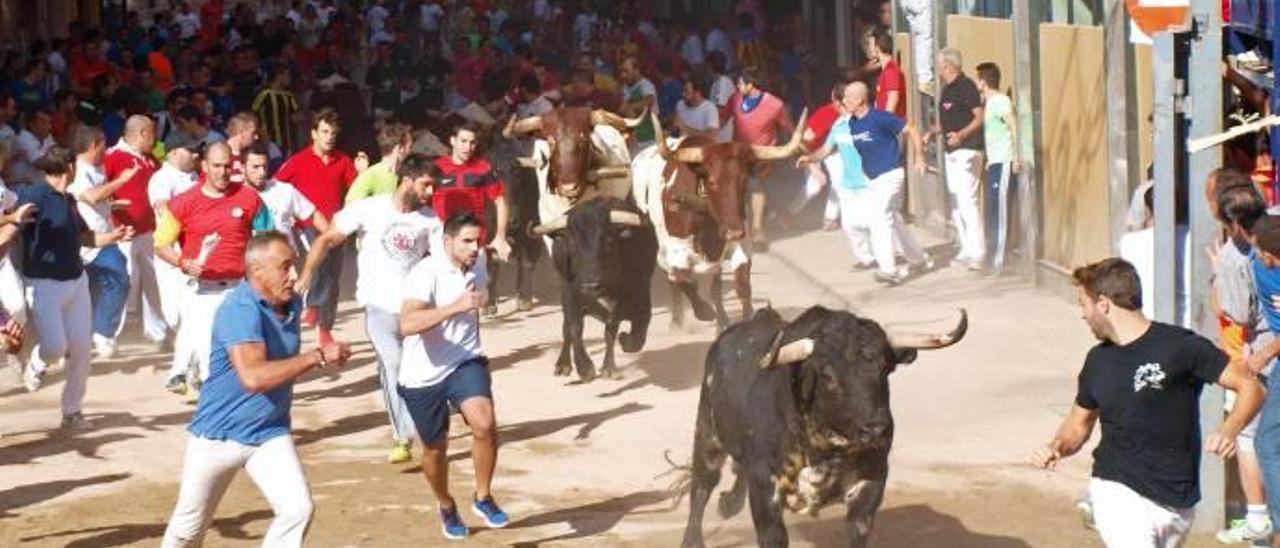 Cinco encierros y doce astados abrirán el capítulo taurino de la Fira d&#039;Onda