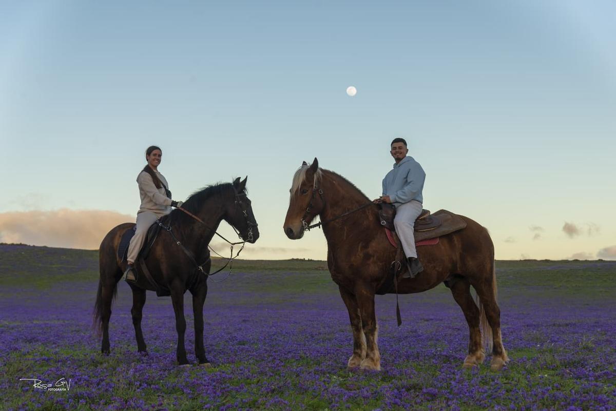 Un manto de flores lilas tapiza el sur de Lanzarote tras las lluvias