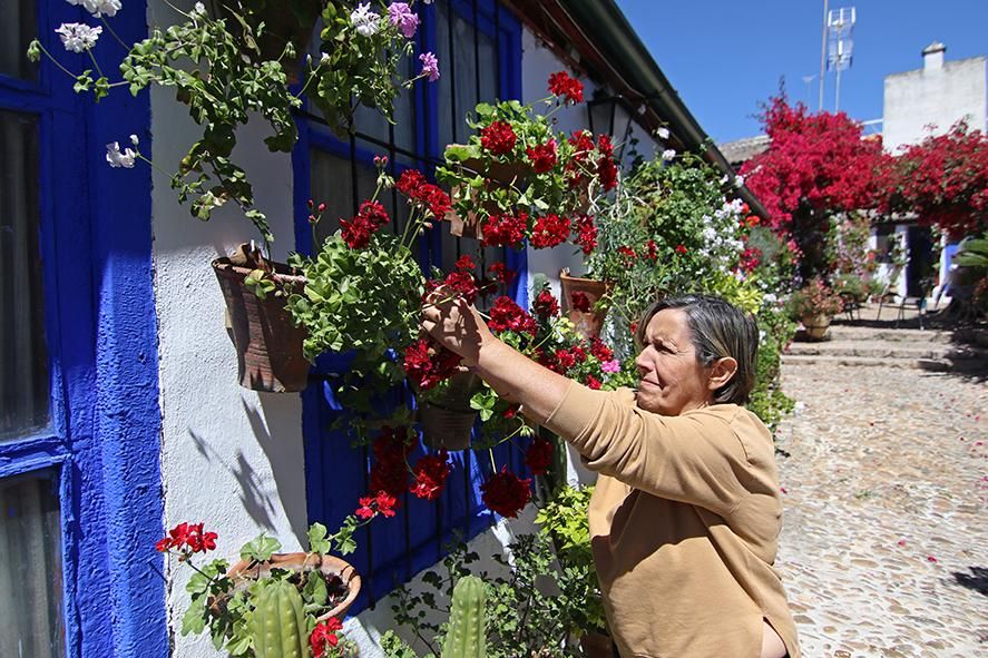 Fotogalería / Los cuidadores dan los últimos retoques a los patios