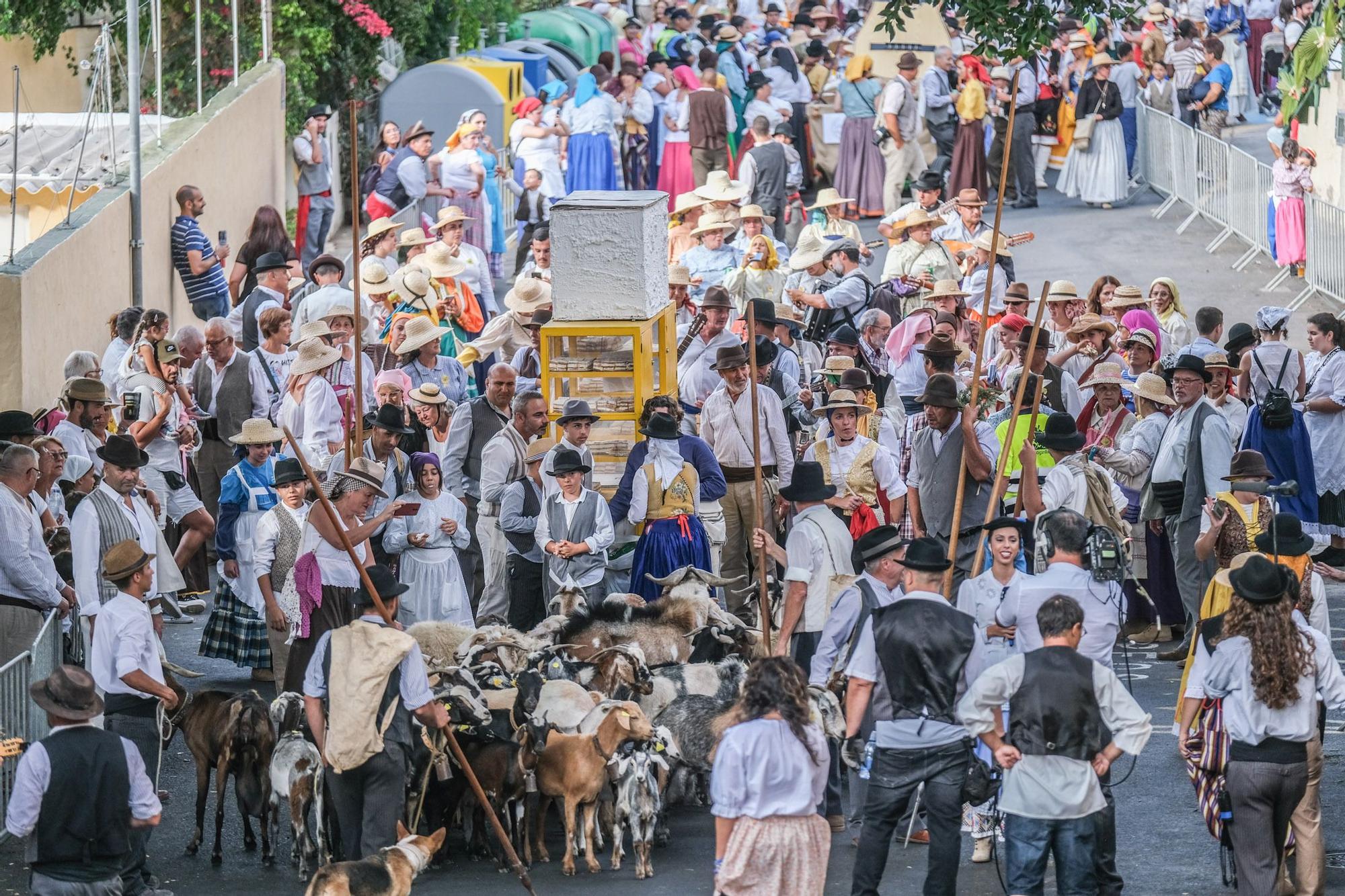 Romería-Ofrenda a San Antonio El Chico en Mogán