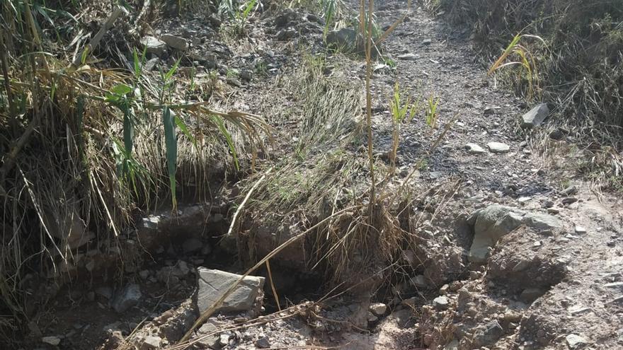 Piden la reparación del camino de la rambla de Parrilla en Lorca