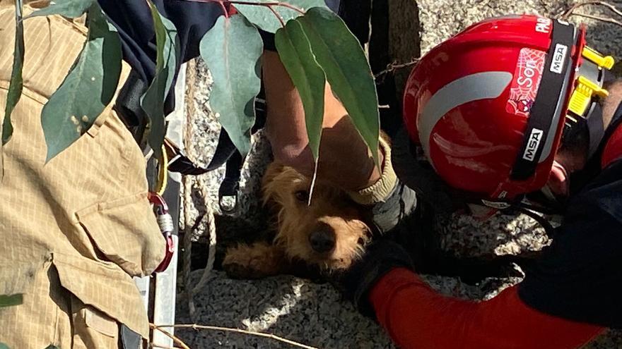 Así fue el rescate del perro atrapado dentro de un muro en Nigrán