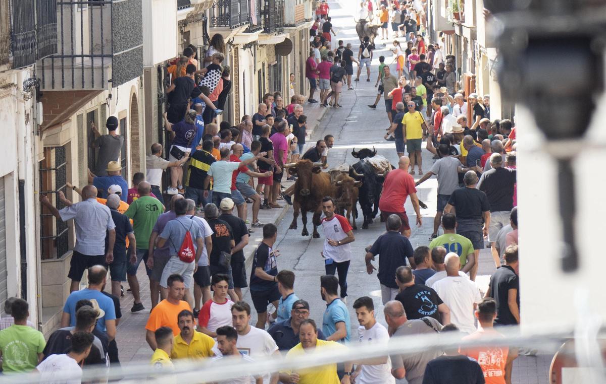 Archivo - Festejo de 'bous al carrer' en imagen de archivo