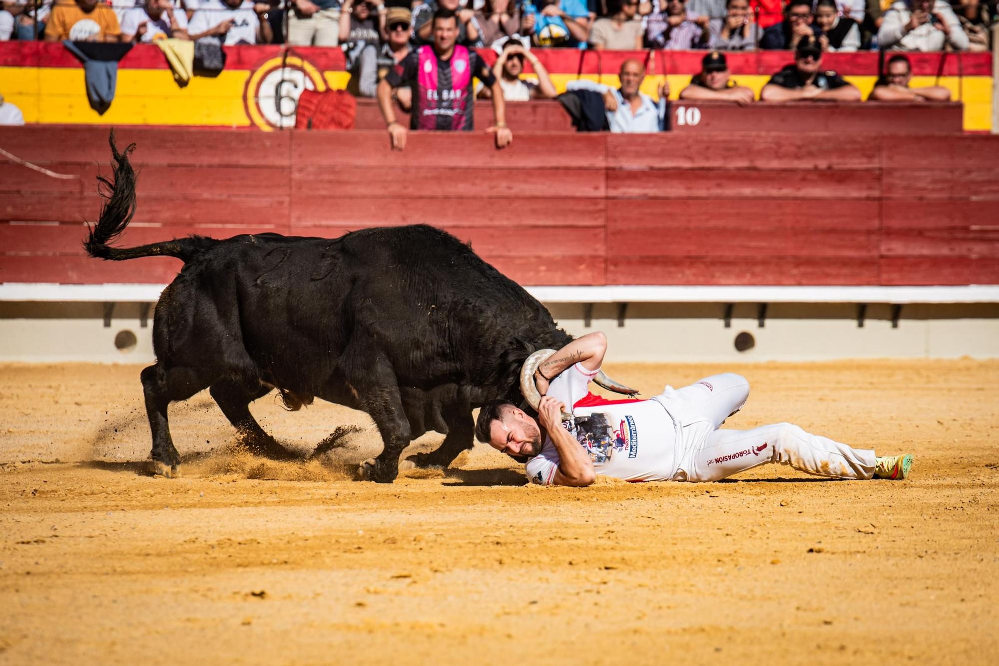 Así ha sido la gran final del campeonato de recortadores