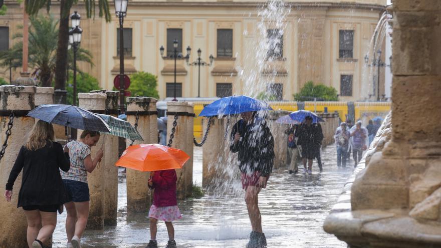 Archivo - Transeúntes protegidos con paraguas de la lluvia en Sevilla, imagen de archivo.