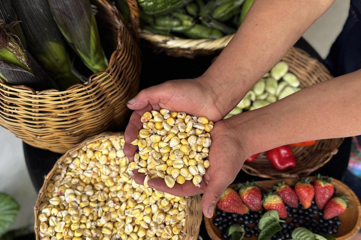 La FAO alerta de un "efecto cascada" en la crisis de precios por la situación en Ormuz