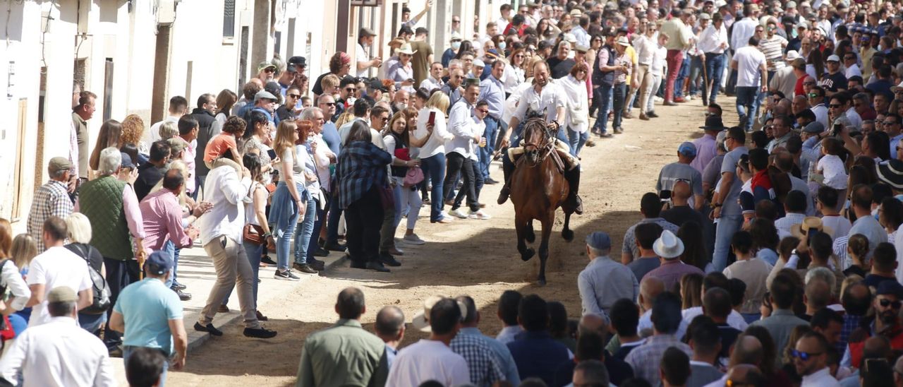 Arroyo galopa en masa de nuevo