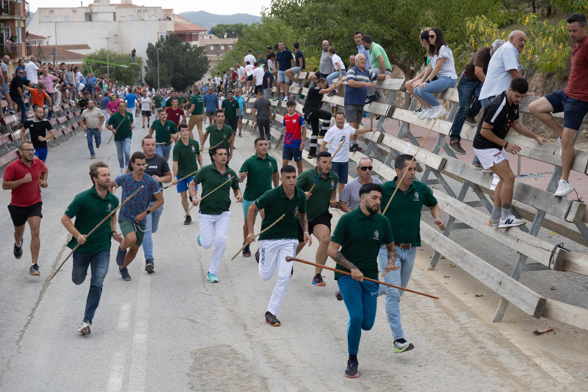 Tercer encierro de la Feria Taurina del Arroz en Calasparra