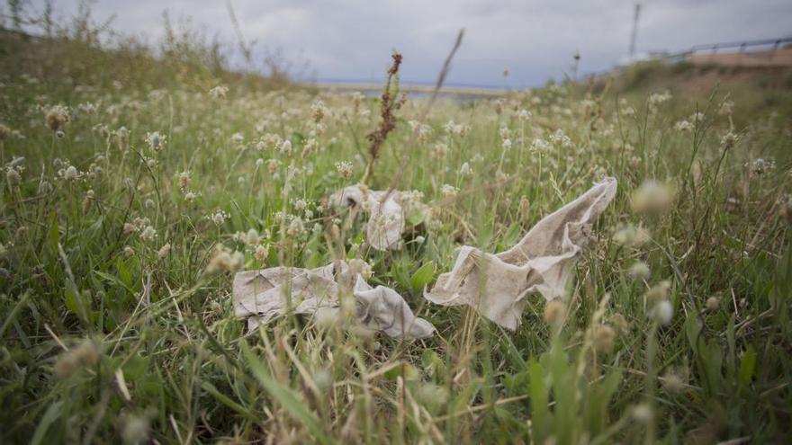 Restos de toallitas húmedas enredados en las briznas de las plantas.