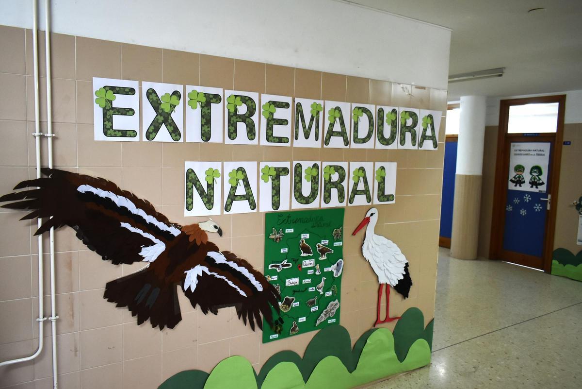 Fotogalería | Ciencia y naturaleza llenan el 'Licen' de Cáceres en su Semana Cultural