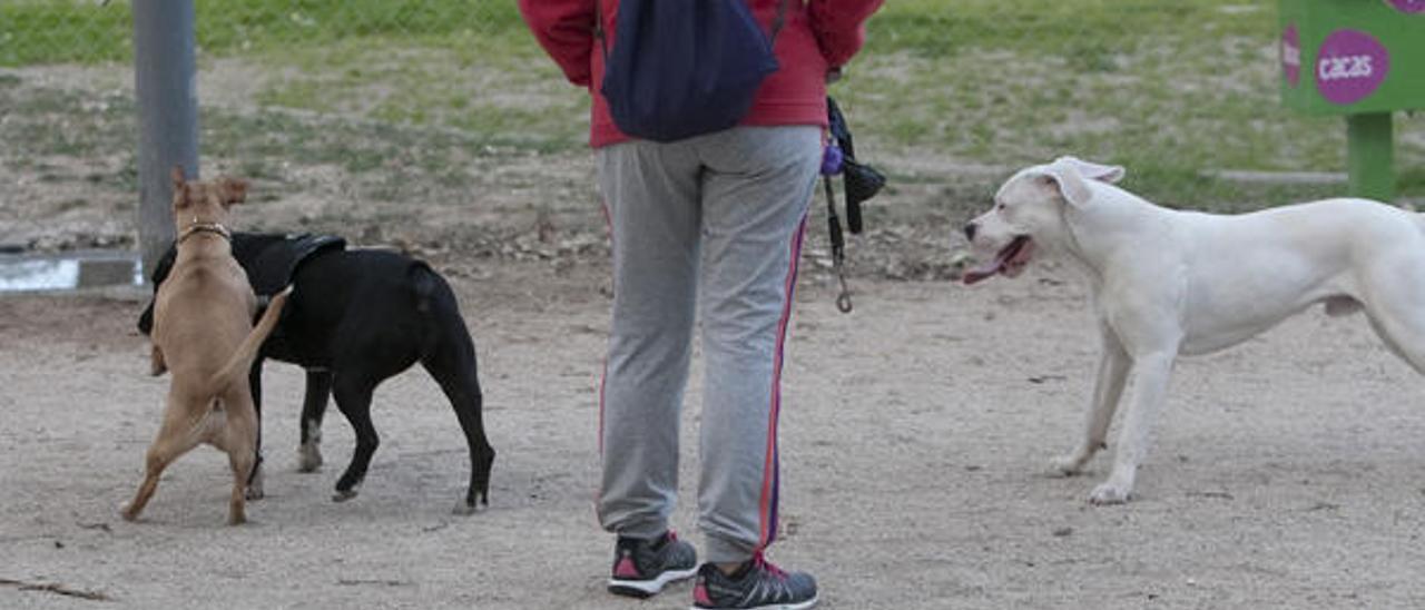 «Es una acción muy cruel. Hay gente muy intolerante con los animales»