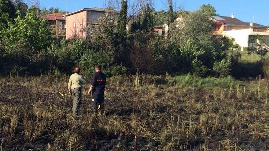 Vegetación descontrolada próxima a edificaciones en un pueblo del municipio de Figueruela.