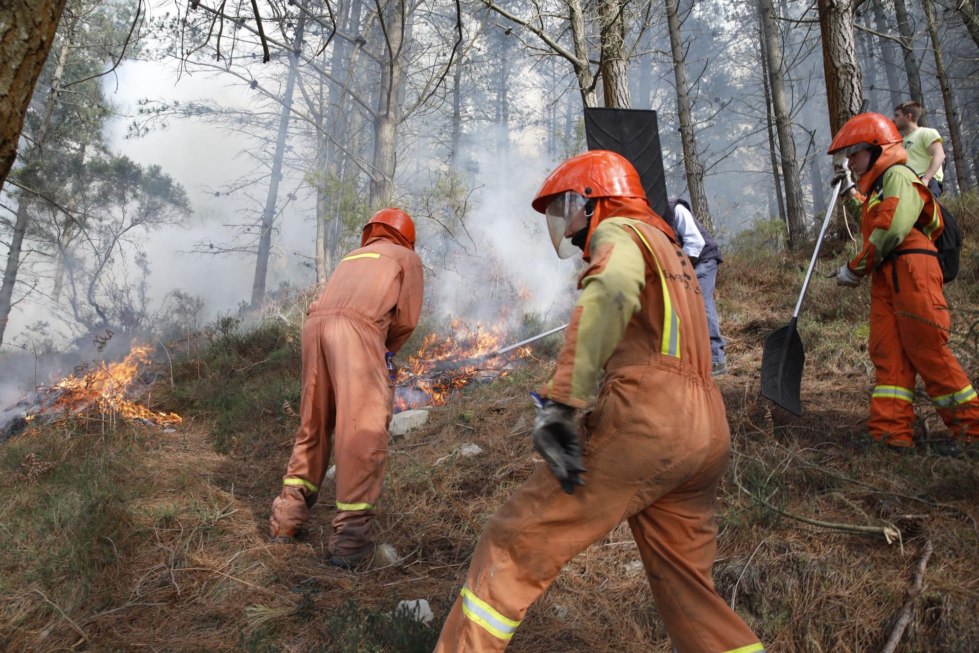 La lucha contra el fuego en el incendio entre Nava y Piloña