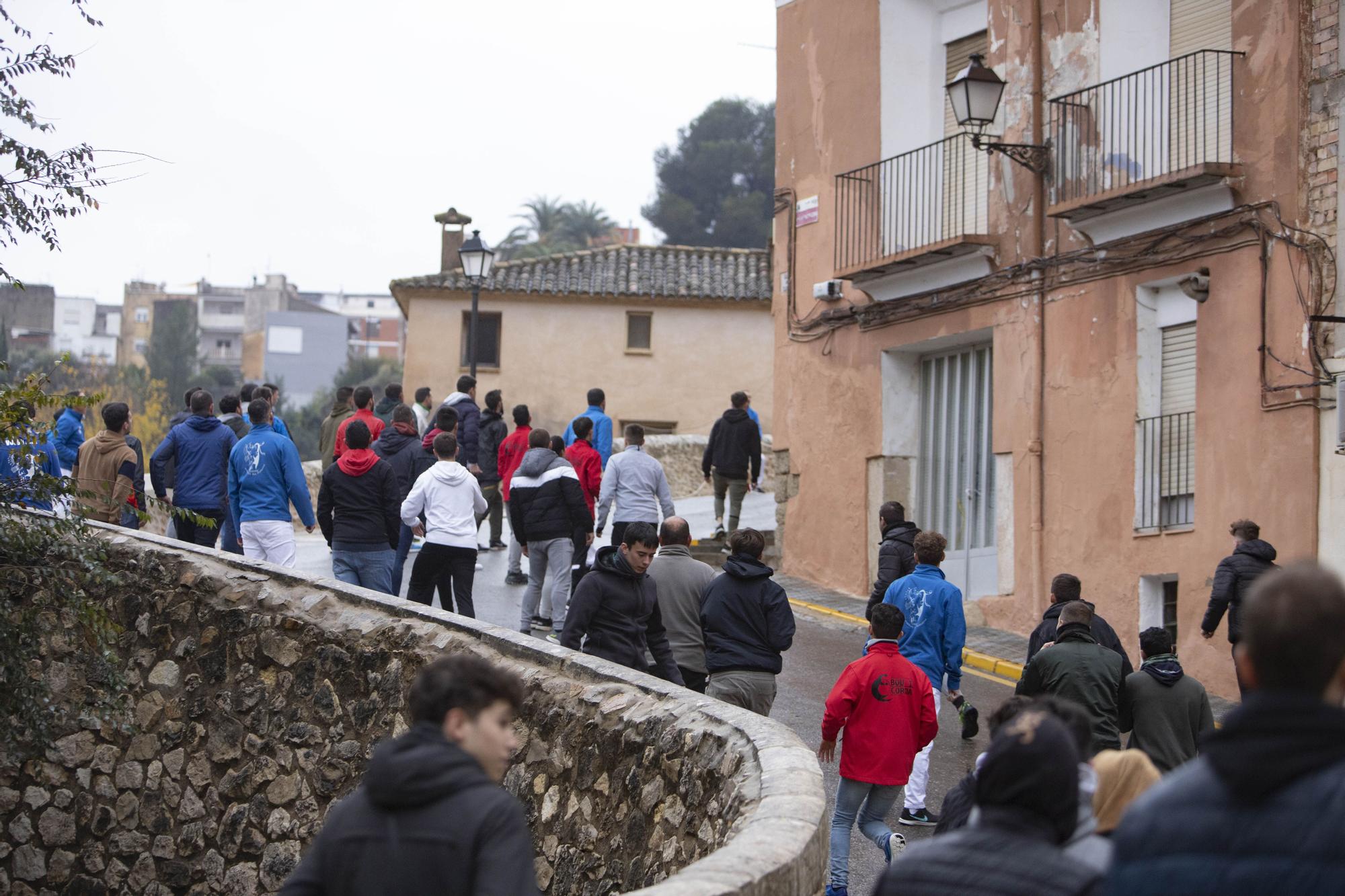 El "Bou en corda" vuelve al Pont Vell de Ontinyent