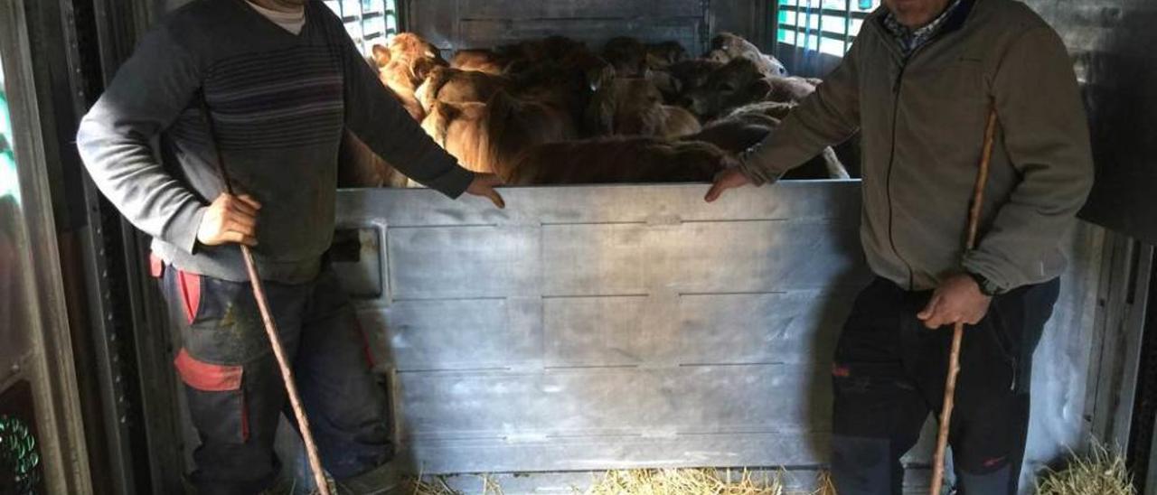 Juan Martínez y Manuel Valle, con los animales ya cargados en el camión.