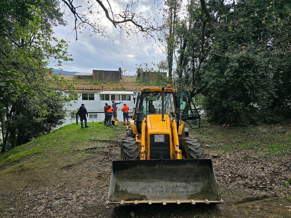 La tala de árboles en el Parque Valdés Bermejo para garantizar la seguridad ciudadana.