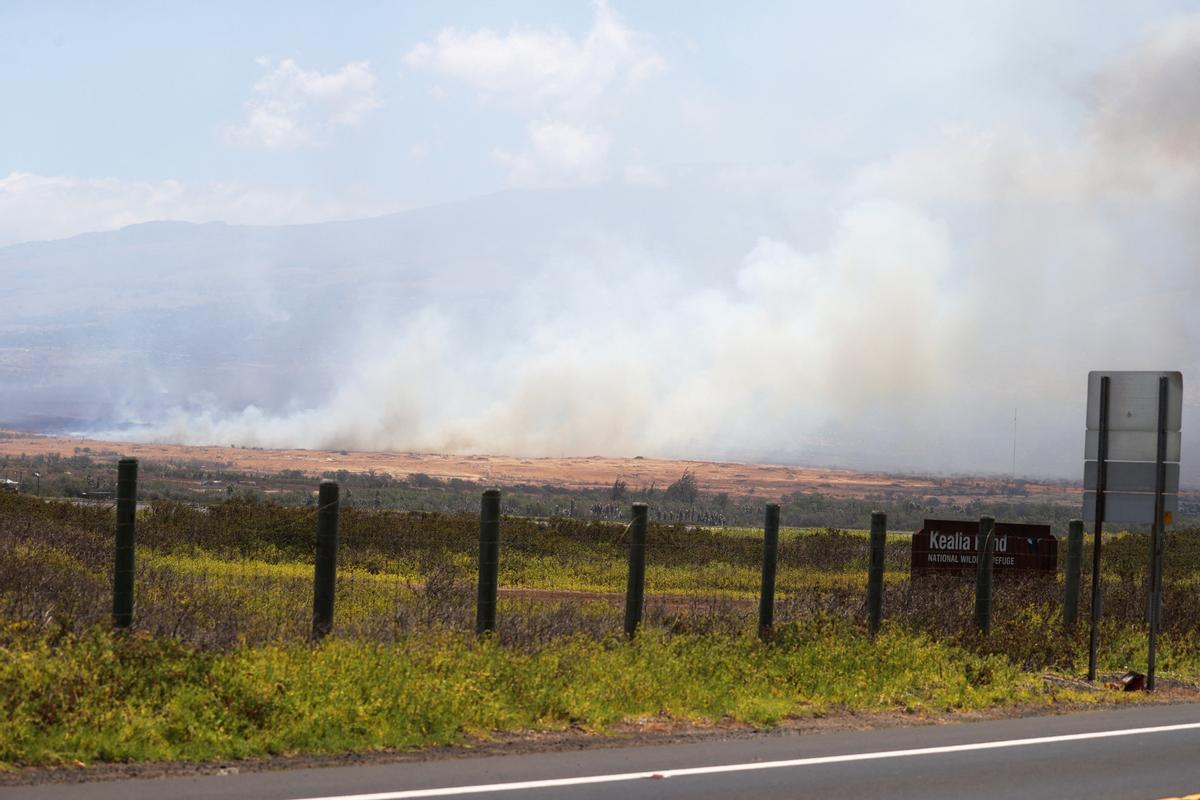 Incendios en la isla de Maui, en Hawái