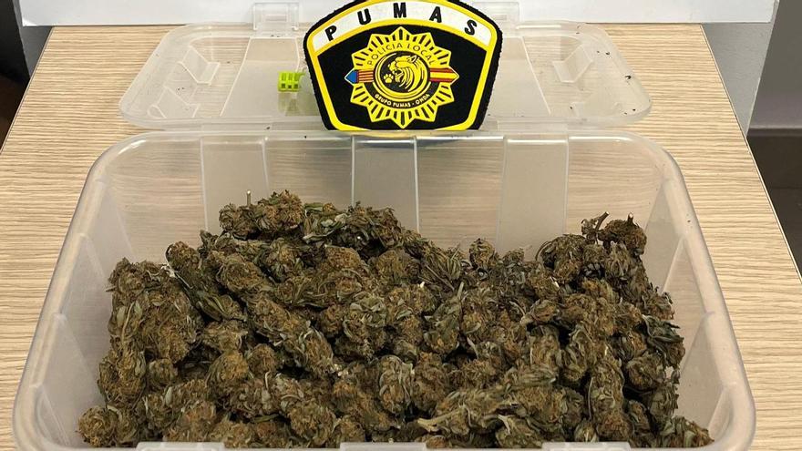 Imagen de la marihuana incautada por los agentes en un tupper de gran tamaño.