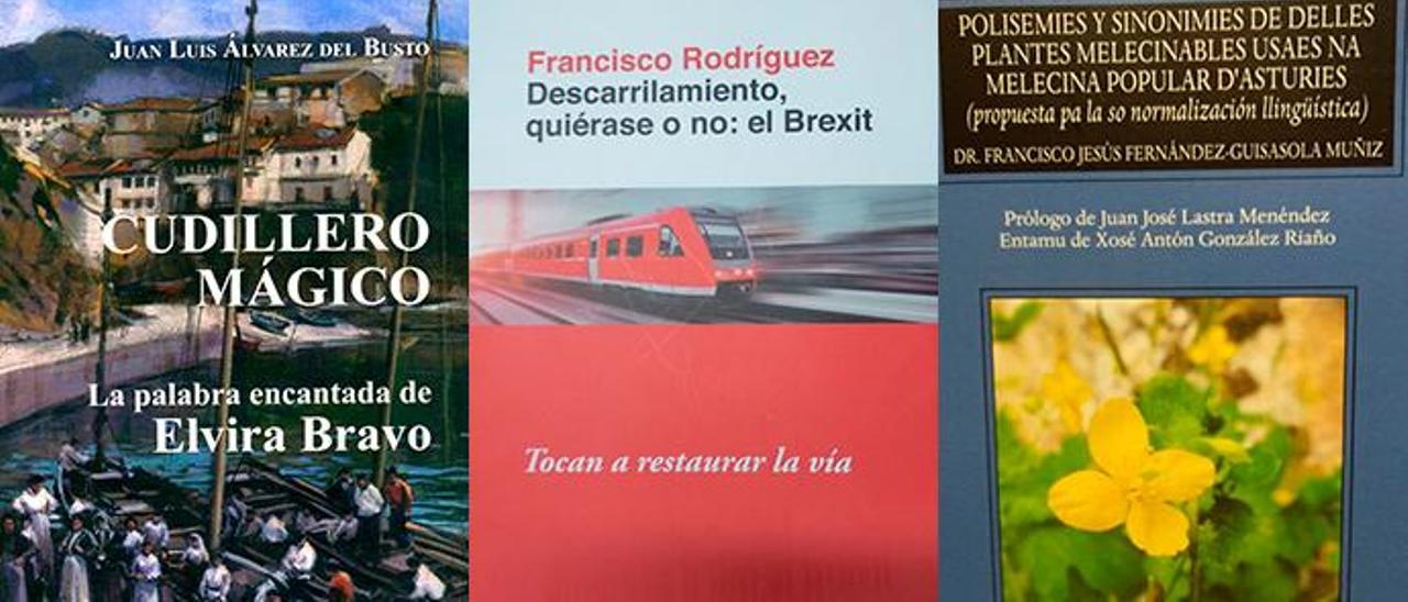 Por la izquierda, las portadas de los libros “Cudillero  mágico”, “Descarrilamiento, quiérase o no el Brexit” y “Polisemies y sinonimies de delles plantes melecinables usaes na melecina popular d’Asturies”.