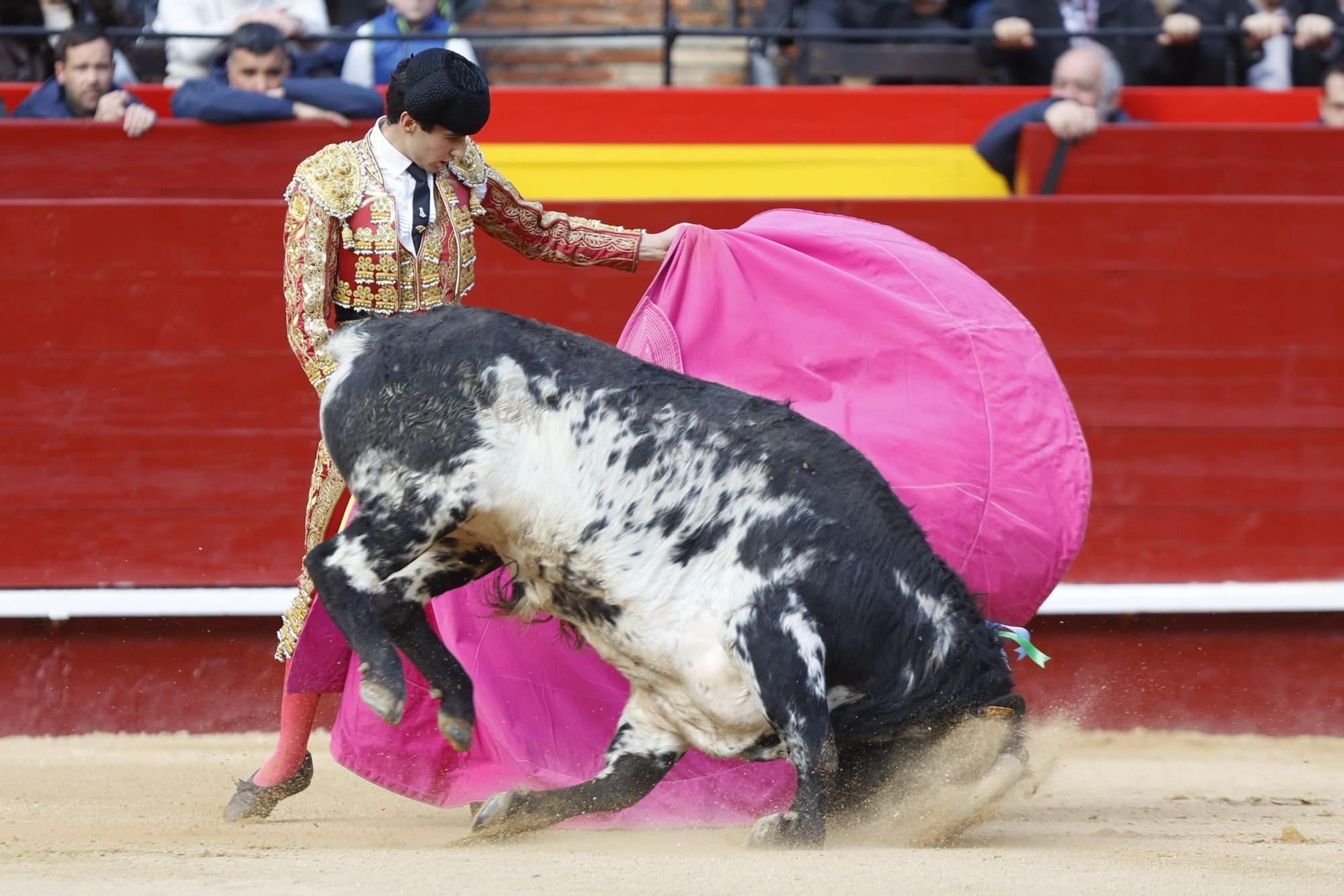 La novillada sin picadores de la Feria de Fallas, en imágenes