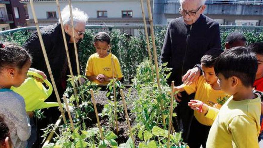 Un grup de nens i nenes, amb l&#039;ajuda de gent gran, cultivant un petit hort a la residència de Can Regàs de Girona.