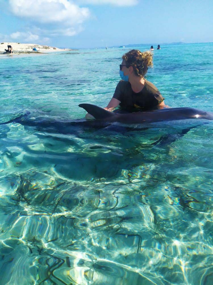 Intentan rescatar a un delfin despitado en la playa de Llevant en Formentera