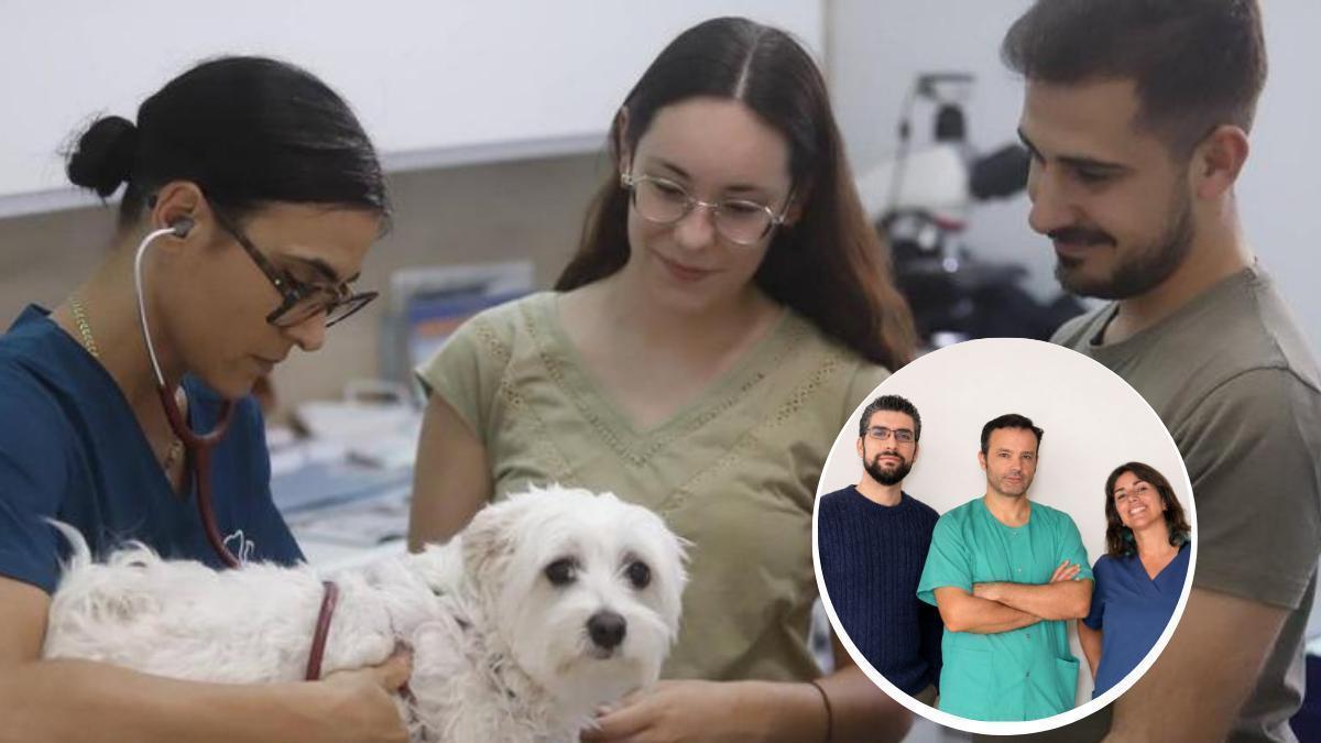 En la imagen destacada, los investigadores Javier López Cepero (US), Juan Morgaz Rodríguez (UCO) y la investigadora Pilar Muñoz Rascón (UCO)