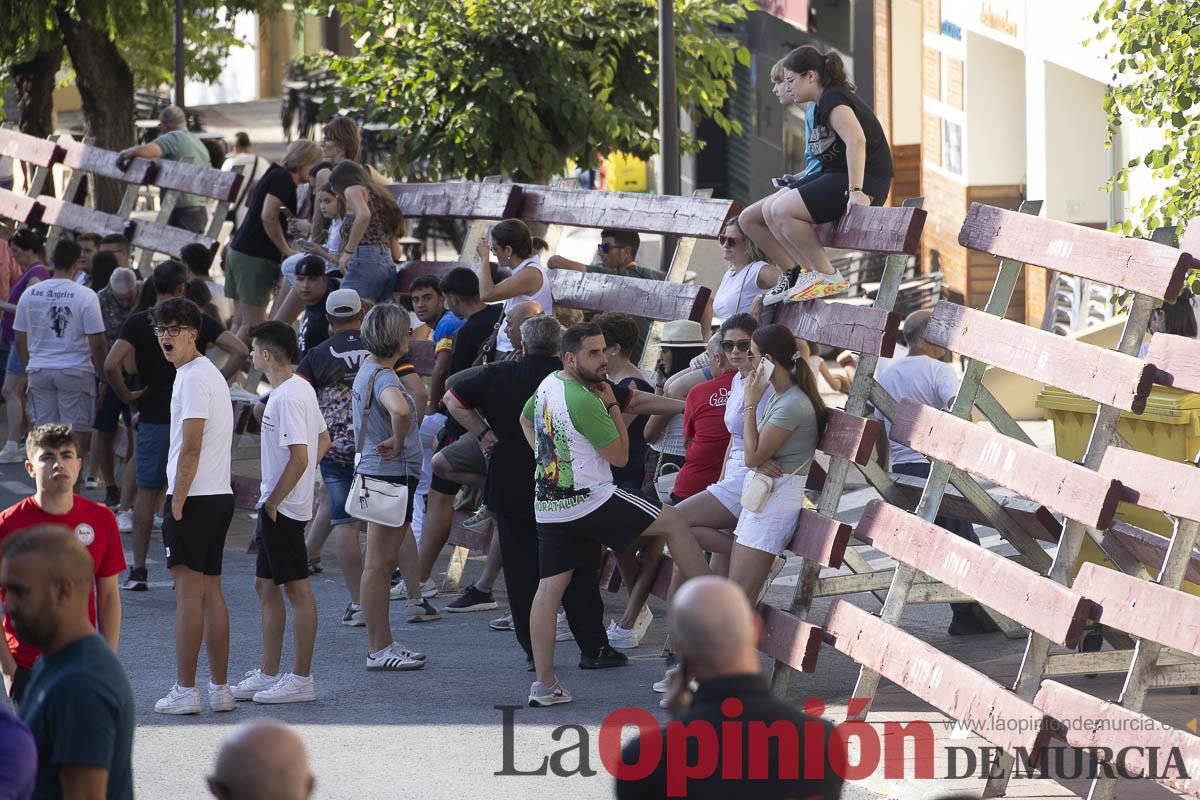 Séptimo encierro de las Fiestas de Moratalla