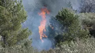 La Ribera cuadruplica en invierno los incendios registrados durante el verano