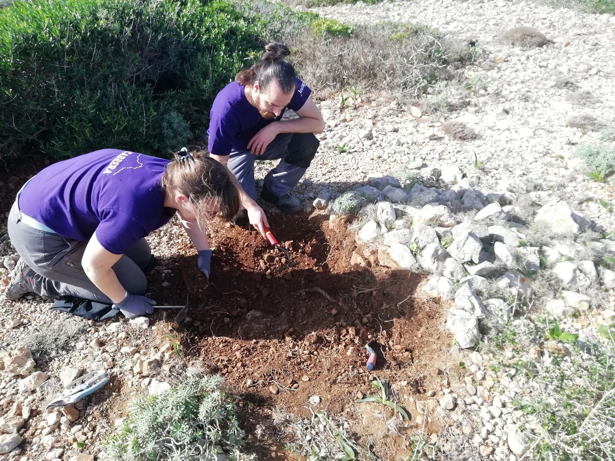 Las fotos de la misión francesa que ha descubierto cientos de inscripciones de soldados de Napoleón en una cueva de Cabrera